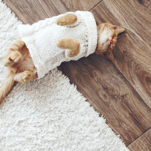 Flooring | Carpets And More, Inc