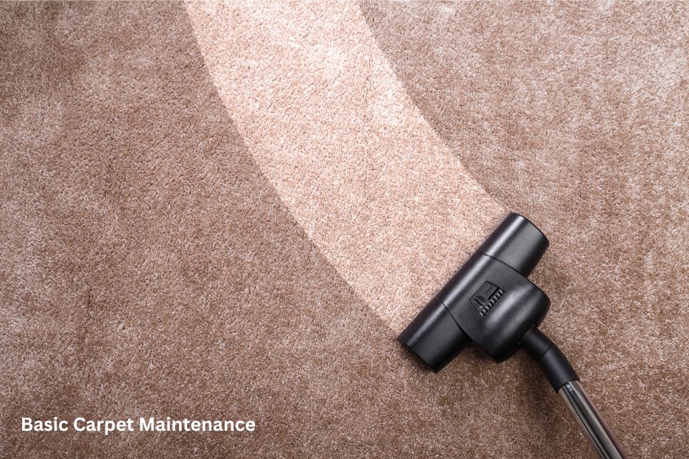 carpet cleaning | Carpets And More, Inc